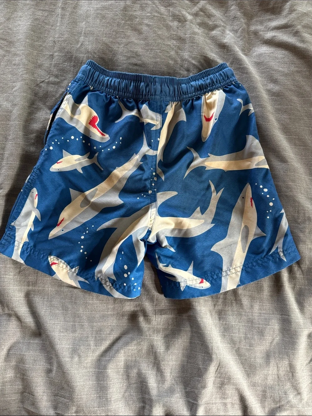Hanna Andersson Blue and Gray Shark Swim Set